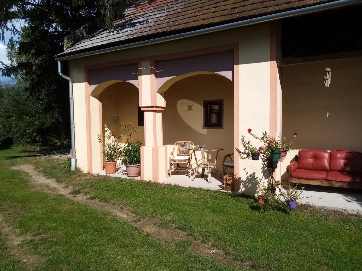 Villa Midiola Vendeghaz Kerkakutas Exterior foto